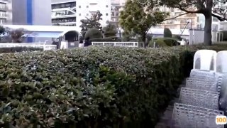 电影一区是啥意思